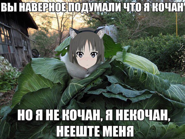 Memes!